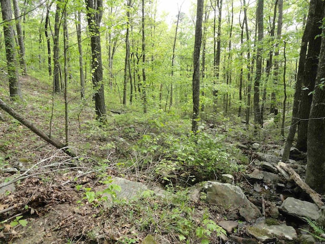 935 Standing Alone Rd, Leslie, AR 72645