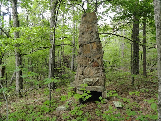 935 Standing Alone Rd, Leslie, AR 72645