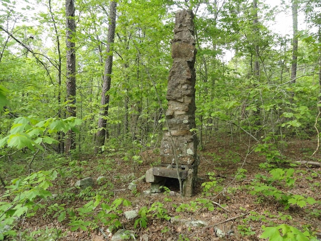935 Standing Alone Rd, Leslie, AR 72645