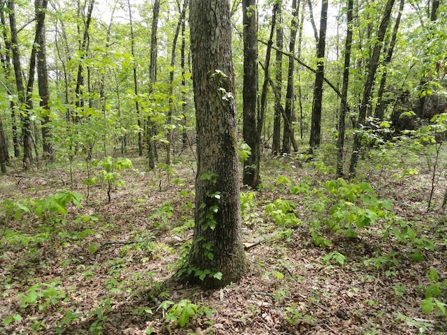 935 Standing Alone Rd, Leslie, AR 72645