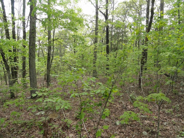 935 Standing Alone Rd, Leslie, AR 72645