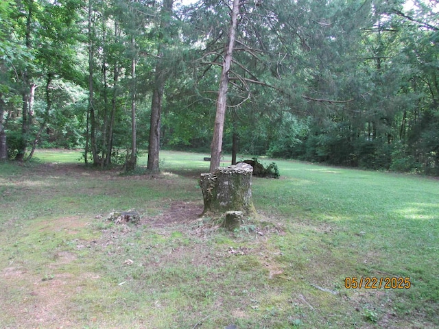 145 Eagles Nest Cv, Austin, AR 72007 - view of grassy yard with a forest view