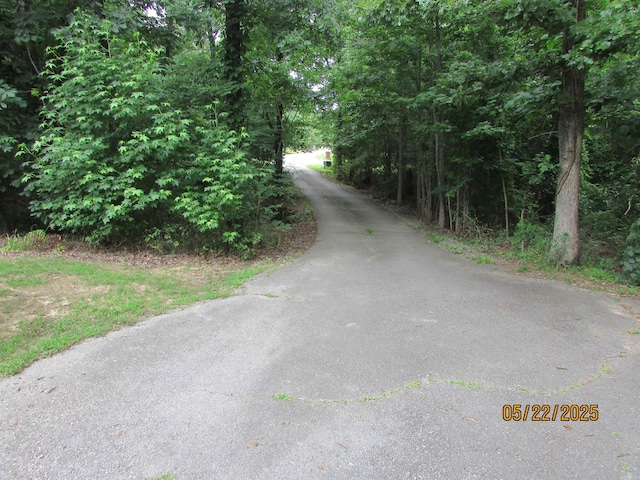 145 Eagles Nest Cv, Austin, AR 72007 - view of street