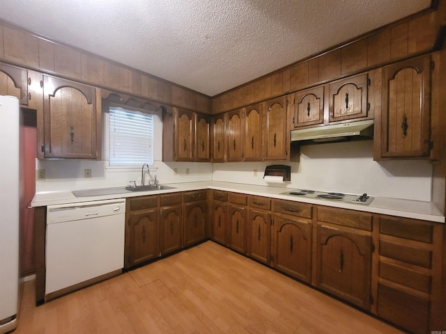 1008 W A Ave, North Little Rock, AR 72116 - kitchen with white dishwasher, under cabinet range hood, light wood-type flooring, a textured ceiling, and light countertops
