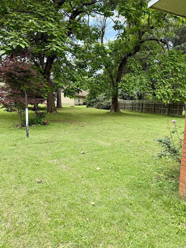 811 Hester St, Jonesboro, AR 72401 - view of yard