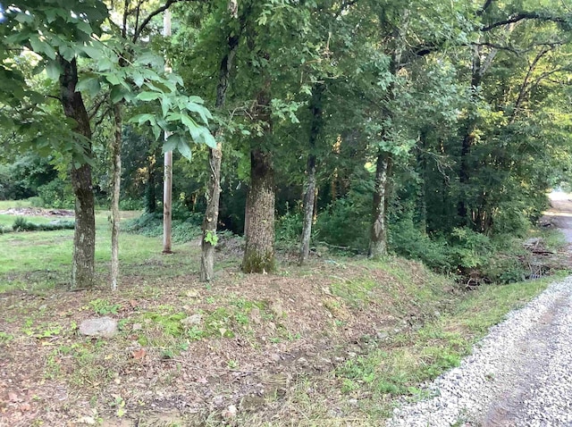 148 Wolf Hollow Rd, Bald Knob, AR 72010