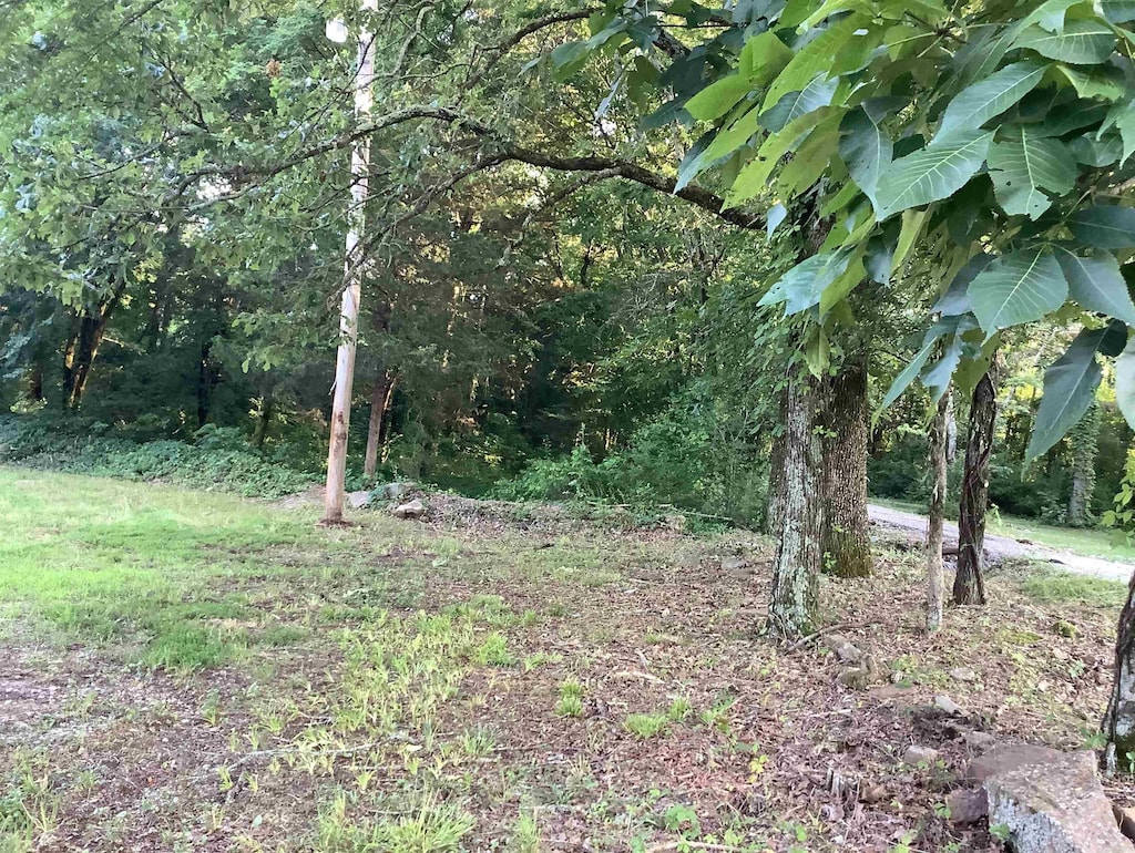 148 Wolf Hollow Rd, Bald Knob, AR 72010