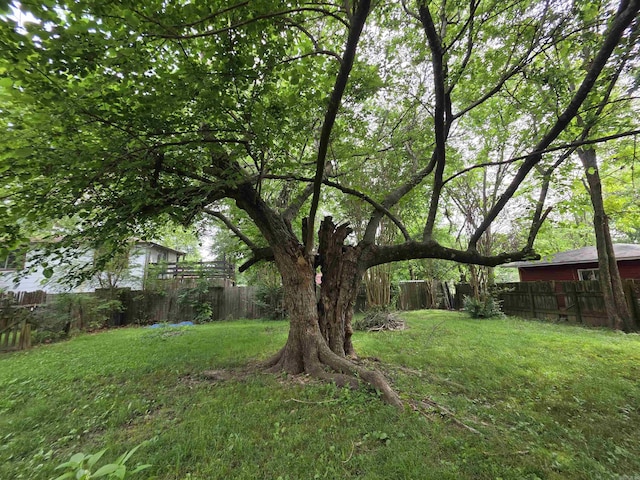 109 S Adams St, Mena, AR 71953 - view of fenced backyard