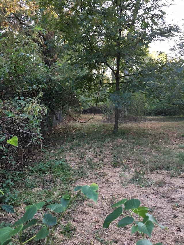 Listing photo - caption unavailable
