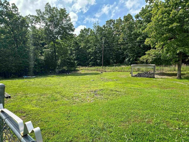 1502 E Emerald Cove Dr, Horseshoe Bend, AR 72512 - view of yard