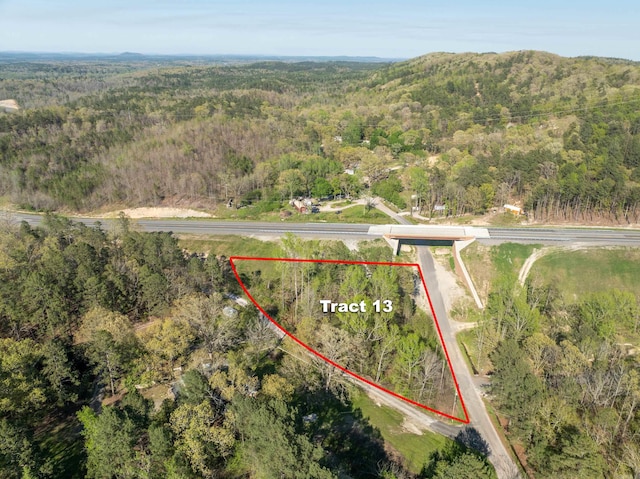 TBD Burt Trail, Hot Springs, AR 71901