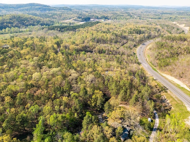TBD Burt Trail, Hot Springs, AR 71901