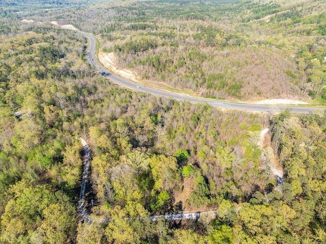 TBD Burt Trail, Hot Springs, AR 71901
