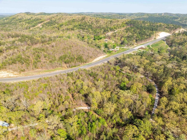TBD Burt Trail, Hot Springs, AR 71901