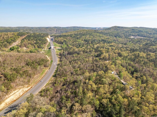 TBD Burt Trail, Hot Springs, AR 71901