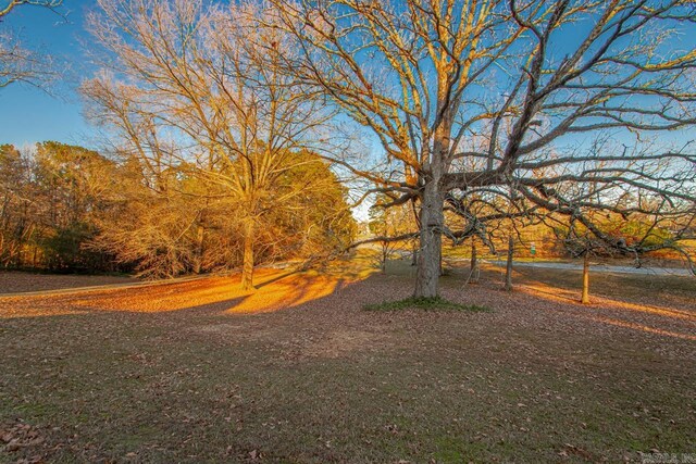 301 W Magnolia St, Rison, AR 71665 - view of yard