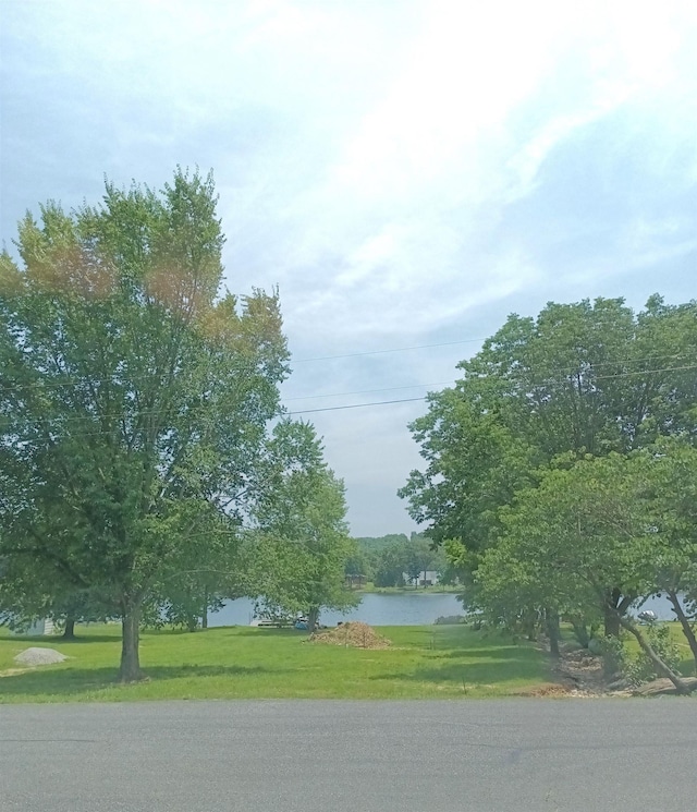 203 Diamond Ln, Horseshoe Bend, AR 72512 - view of property's community with a lawn and a water view
