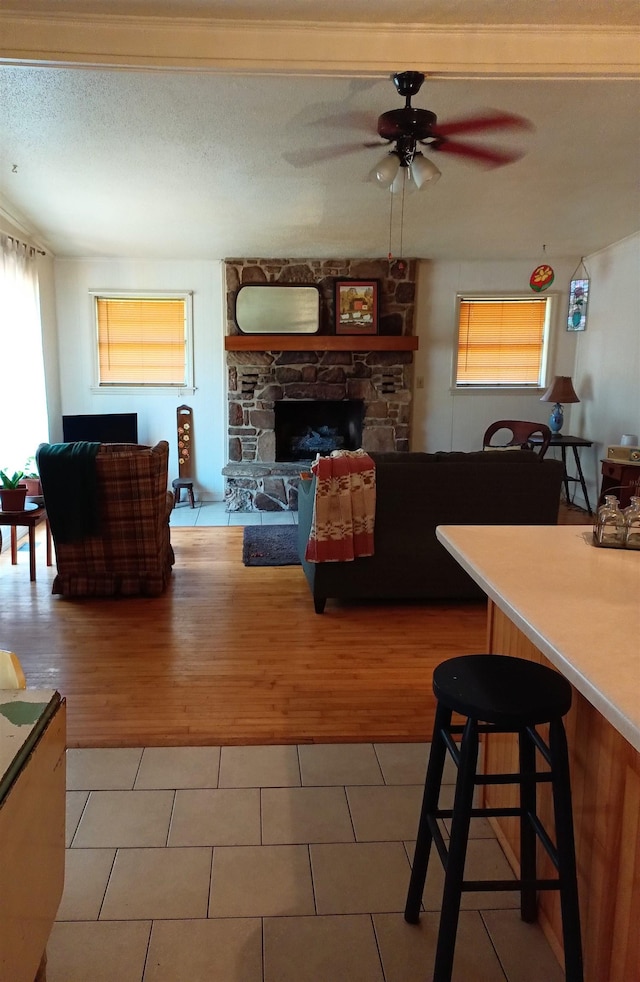203 Diamond Ln, Horseshoe Bend, AR 72512 - living area with healthy amount of natural light, light wood-style flooring, and a ceiling fan