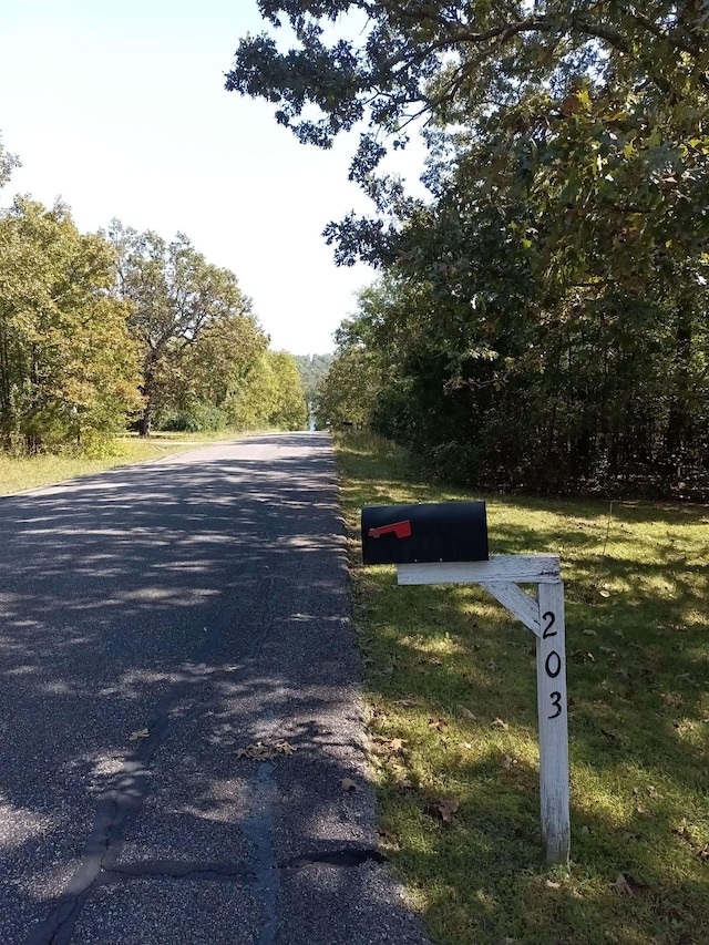 203 Diamond Ln, Horseshoe Bend, AR 72512 - view of asphalt road