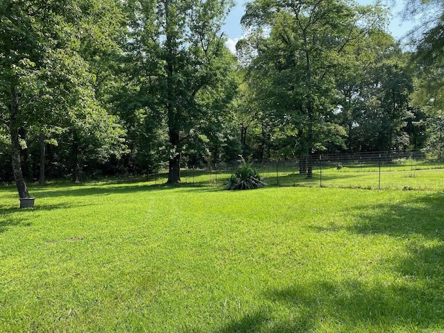 4 Trout, Heber Springs, AR 72543 - view of yard