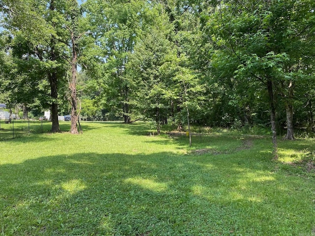 4 Trout, Heber Springs, AR 72543 - view of yard