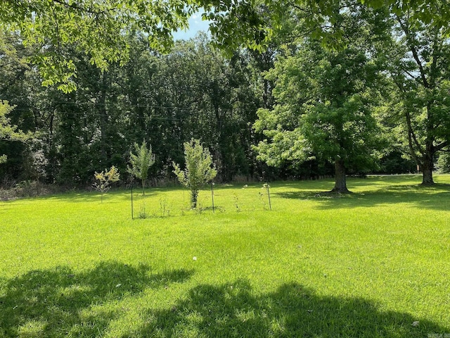 4 Trout, Heber Springs, AR 72543 - view of grassy yard
