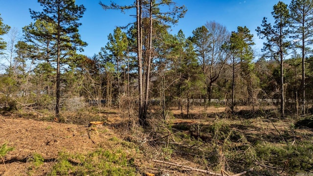 TRACT2 Hwy124, Springfield, AR 72157