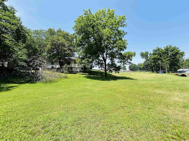 110 Saint Vincent St, Morrilton, AR 72110 - view of green lawn