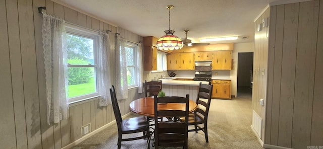 7309 Faulkner Lake Rd, North Little Rock, AR 72117 - dining area with wooden walls and light carpet