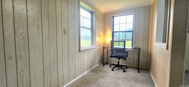 7309 Faulkner Lake Rd, North Little Rock, AR 72117 - carpeted office featuring plenty of natural light and wood walls