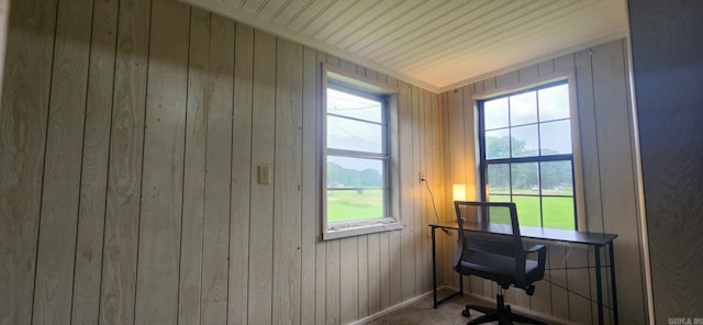 7309 Faulkner Lake Rd, North Little Rock, AR 72117 - carpeted office featuring wooden walls and baseboards