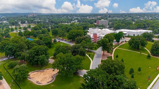 700 E 9th J St Unit 12J, Little Rock, AR 72202 - aerial view of a tree filled landscape