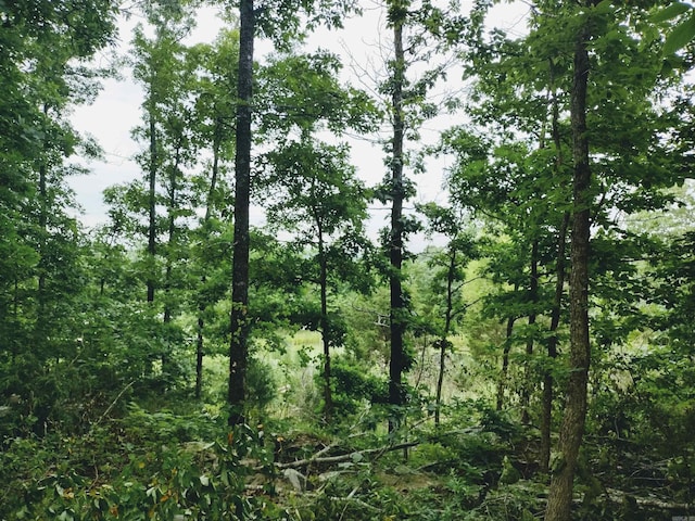 0 Little Pond Rd, Mountain View, AR 72560