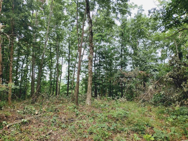 0 Little Pond Rd, Mountain View, AR 72560