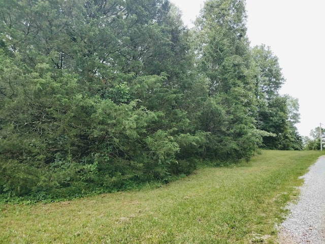 0 Little Pond Rd, Mountain View, AR 72560