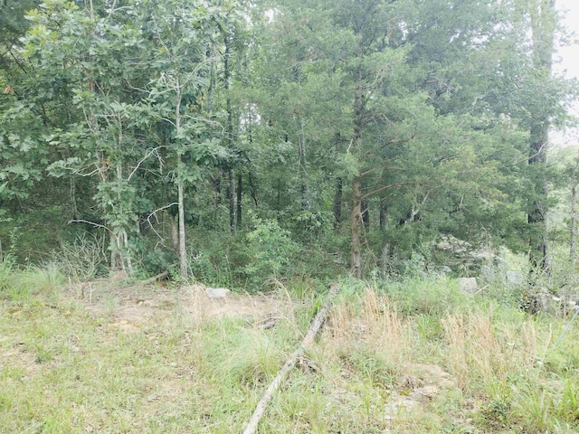 0 Little Pond Rd, Mountain View, AR 72560