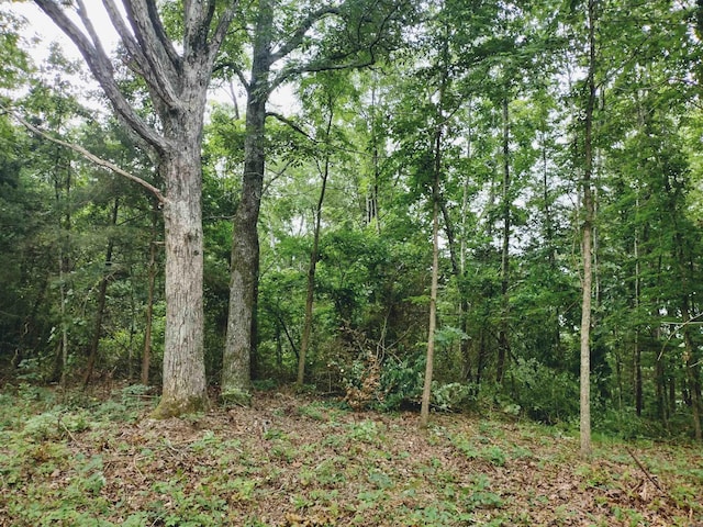 0 Little Pond Rd, Mountain View, AR 72560