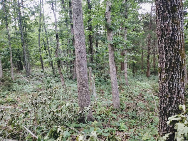 0 Little Pond Rd, Mountain View, AR 72560