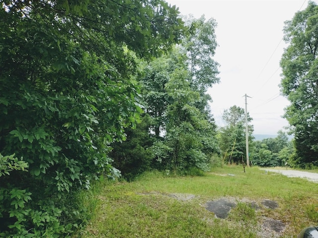 0 Little Pond Rd, Mountain View, AR 72560