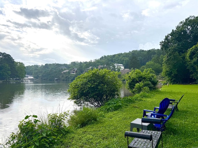 water view featuring a heavily wooded area