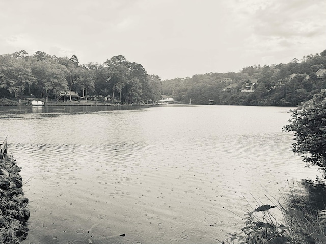 water view featuring a heavily wooded area
