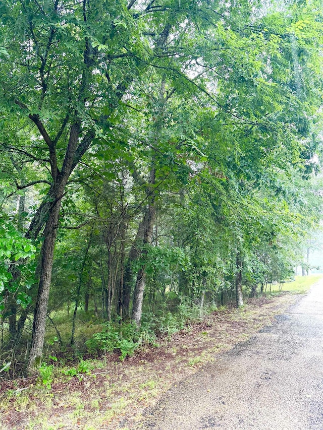 view of asphalt street featuring a forest view