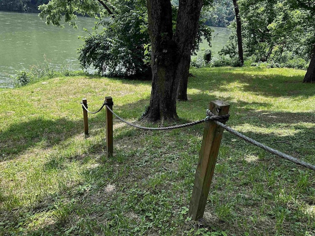 410 S Riverview Ln, Mountain View, AR 72560 - view of green lawn featuring a water view