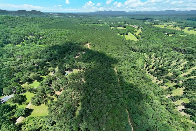 172 Susie Ln, Mena, AR 71953 - aerial overview of property's location featuring a mountainous background