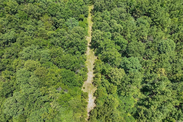 172 Susie Ln, Mena, AR 71953 - view of property location with a forest