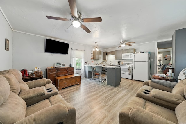 172 Susie Ln, Mena, AR 71953 - living room featuring ceiling fan, light wood-type flooring, and crown molding