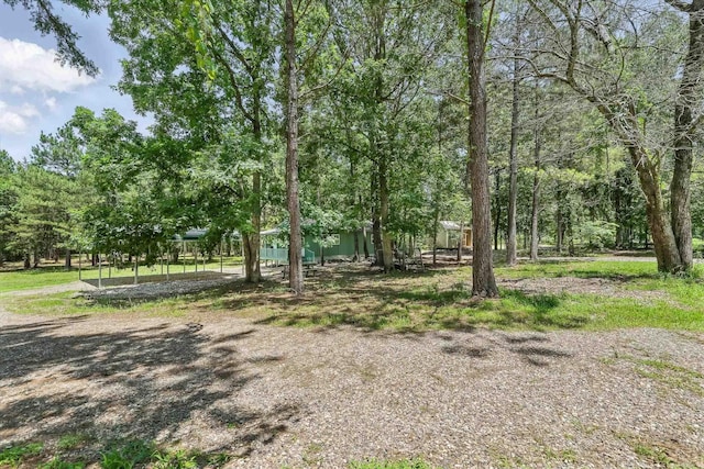 172 Susie Ln, Mena, AR 71953 - view of yard