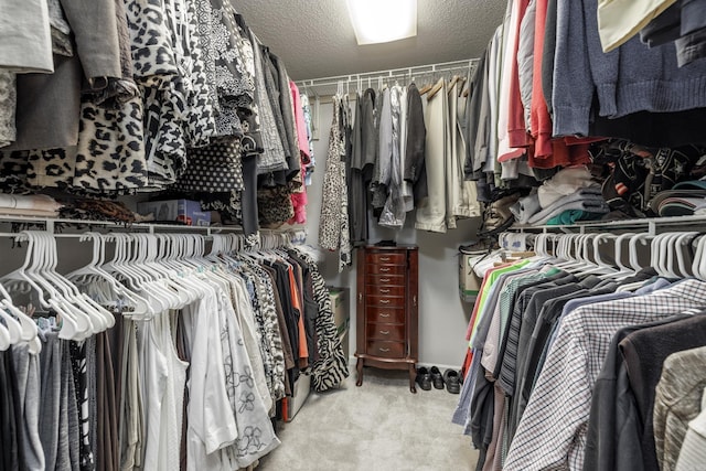 96 San Sebastian Way, Hot Springs Village, AR 71909 - walk in closet with carpet flooring