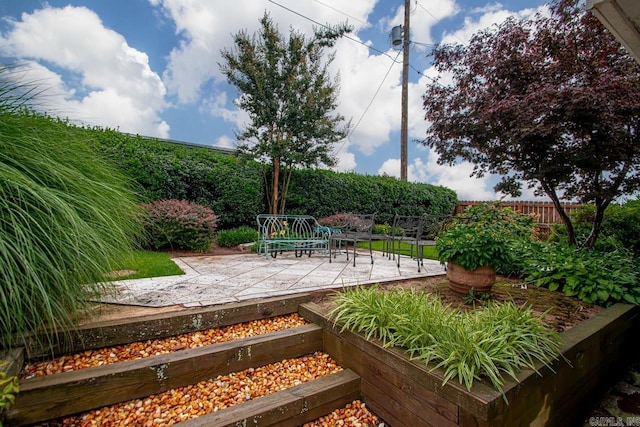 11414 E Stoney Point Ct, Little Rock, AR 72211 - fenced backyard with a patio area
