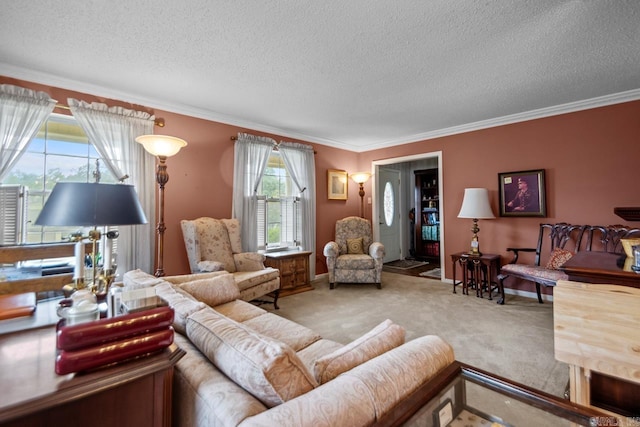 11414 E Stoney Point Ct, Little Rock, AR 72211 - carpeted living room with crown molding and a textured ceiling